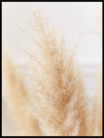 Strå av hveteaks - Poster - Plakatbar.no