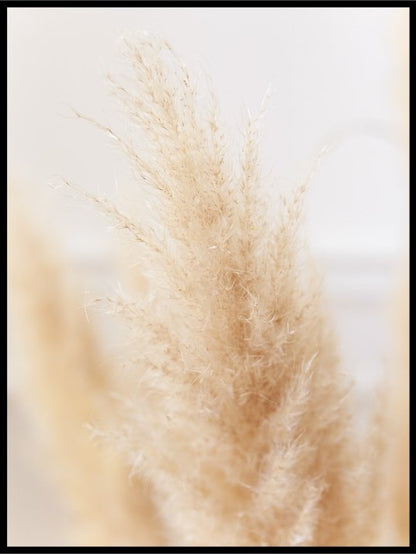 Strå av hveteaks - Poster - Plakatbar.no