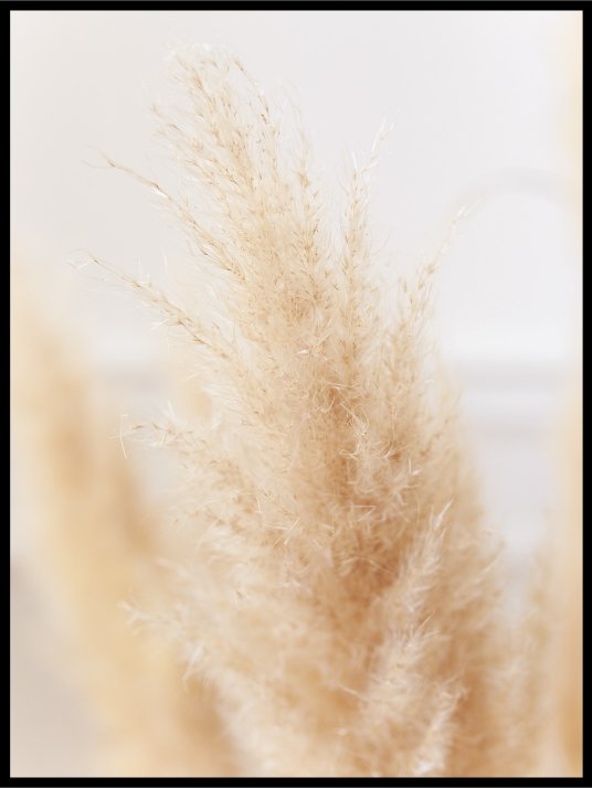 Straw of wheat ears - Poster