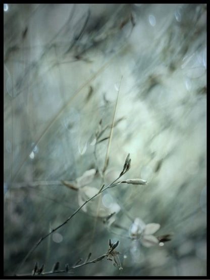 Subtlety poster - Plakatbar.no