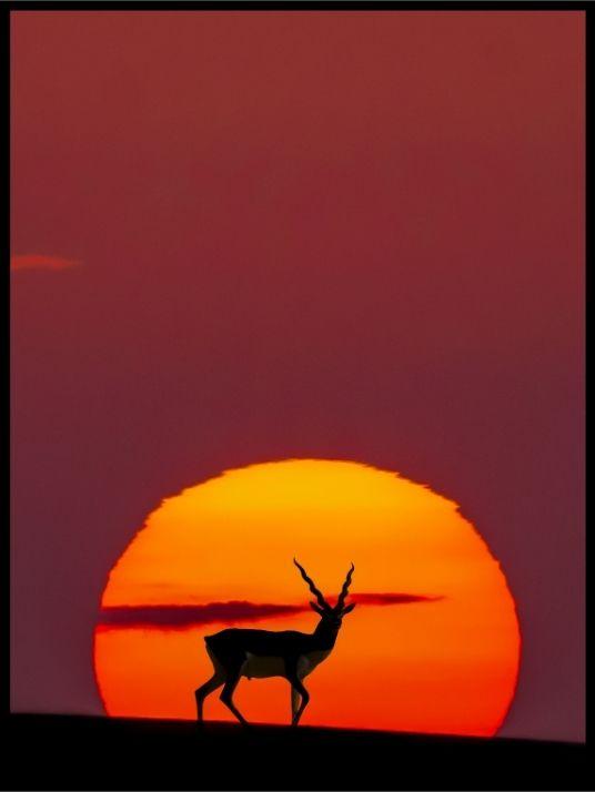 Sun crossing poster