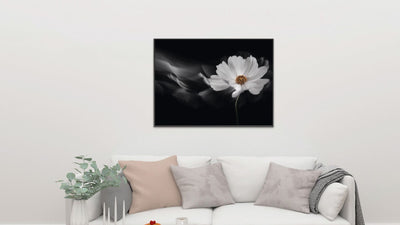 Symphony white poster - Plakatbar.no