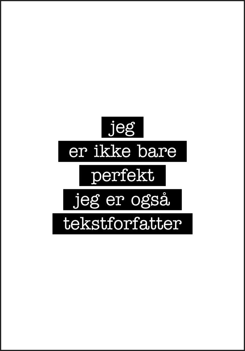 Tekstforfatter - Jeg er ikke bare perfekt Plakat