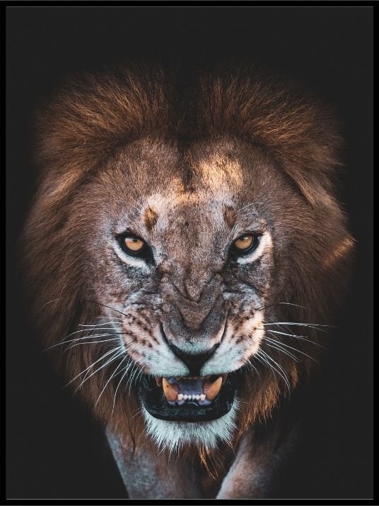 The angry face poster