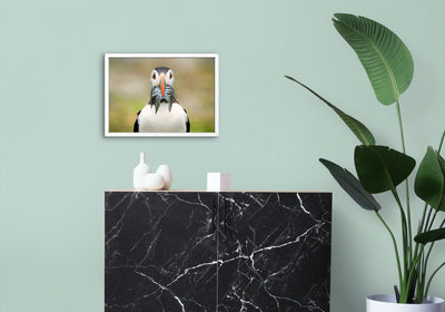 The big catch - poster - Plakatbar.no