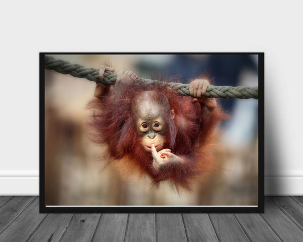 The big query poster – Plakatbar.no