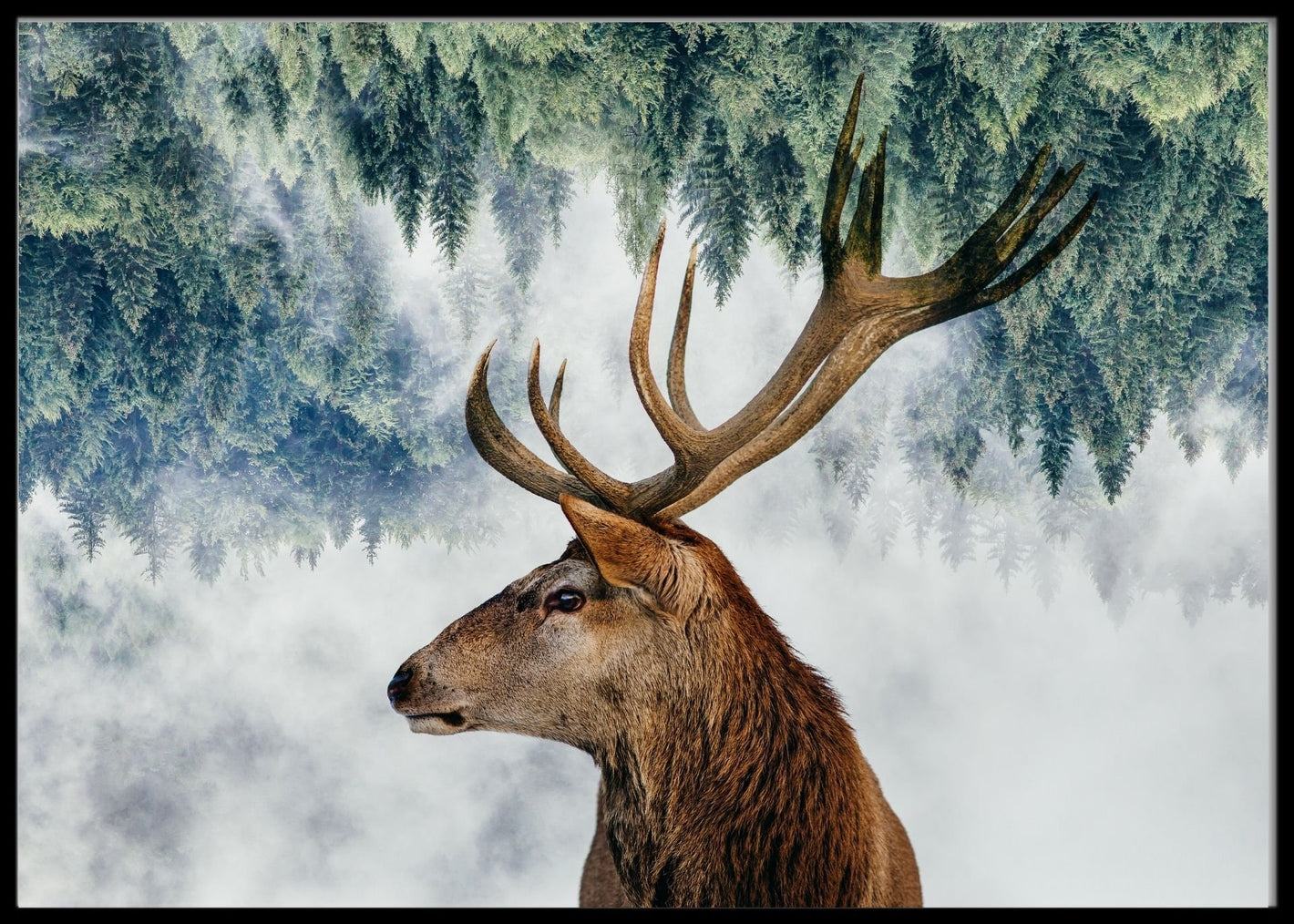 The deer and the woods poster - Plakatbar.no