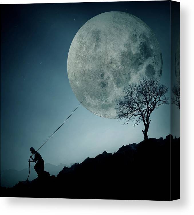 The dreamer