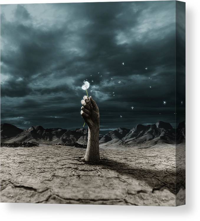 The end? - Plakatbar.no