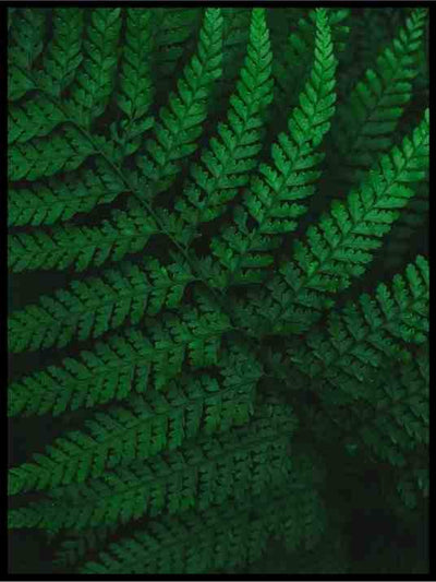 The green darkness - Botanisk Plakat - Plakatbar.no