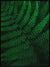 The green darkness - Botanisk Plakat - Plakatbar.no