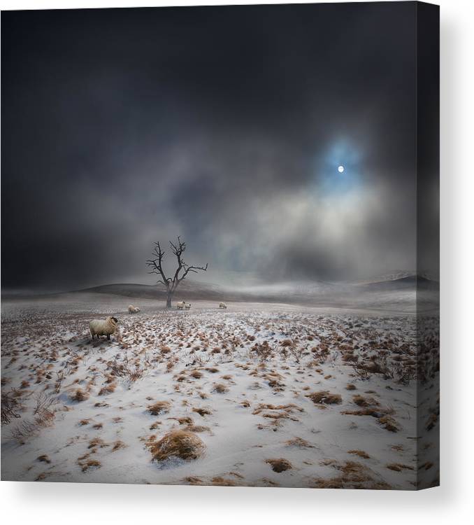 The land of the midnight sun on square canvas