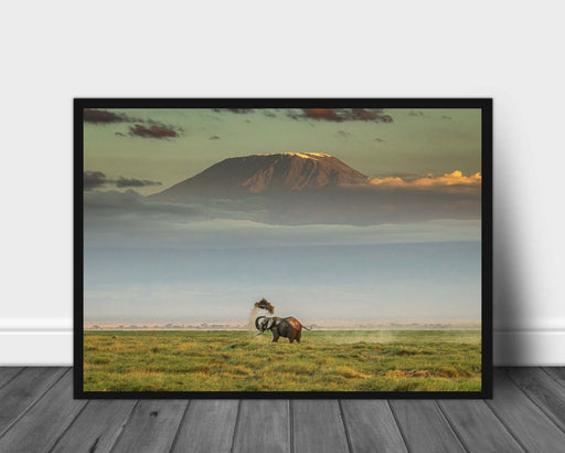 The magic of Amboseli poster - Plakatbar.no