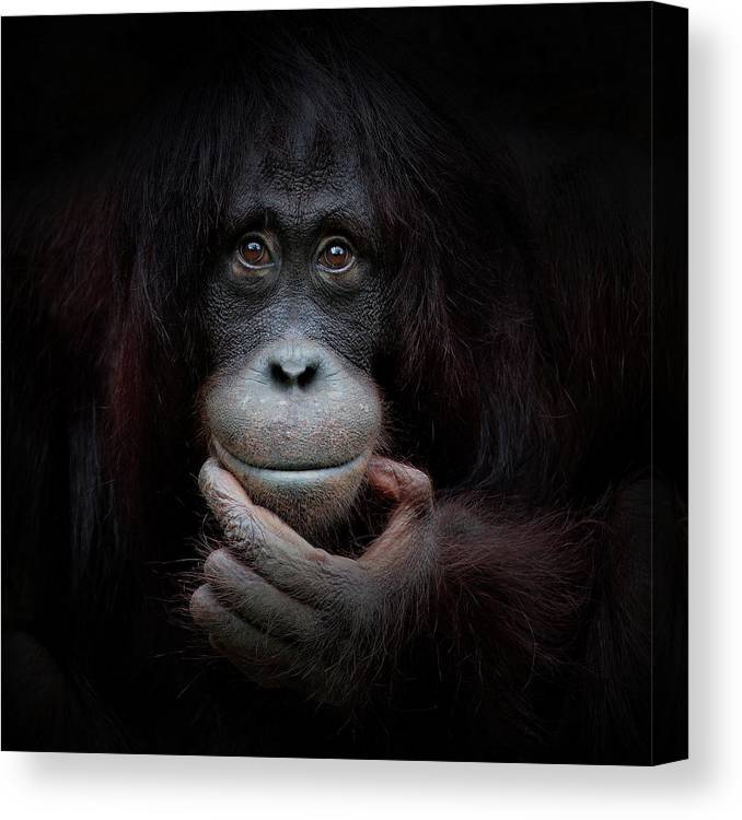 The mirror image - Plakatbar.no