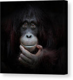 The mirror image - Plakatbar.no