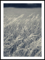 The Reeds No1 - Plakat - Plakatbar.no