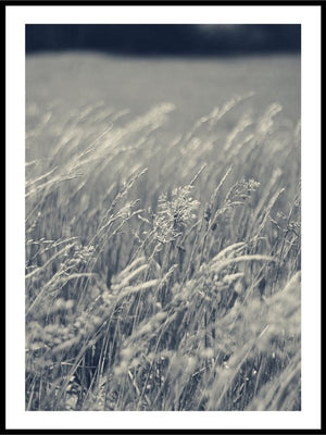 The Reeds No1 - Plakat - Plakatbar.no