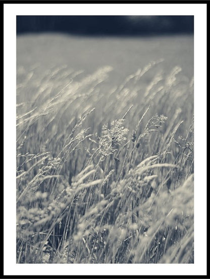 The Reeds No1 - Plakat - Plakatbar.no