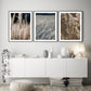 The Reeds No1 - Plakat - Plakatbar.no