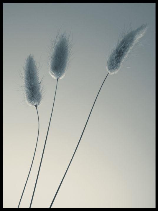 Three of us.... poster - Plakatbar.no