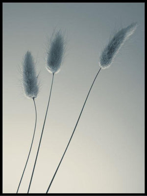 Three of us.... poster - Plakatbar.no