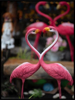 To flamingoer poster - Plakatbar.no