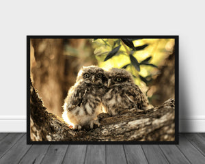 To ugleunger poster - Plakatbar.no