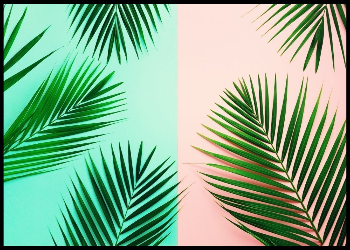 Tropical palm leaves poster - Plakatbar.no