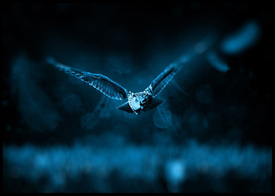 Ugle jakter - Plakat - Plakatbar.no