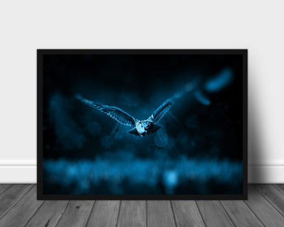 Ugle jakter - Plakat - Plakatbar.no