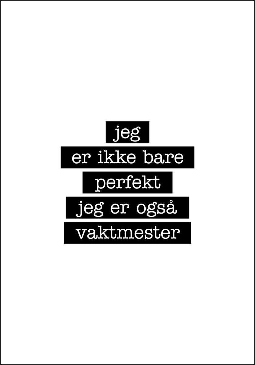 Vaktmester - Jeg er ikke bare perfekt Plakat - Plakatbar.no