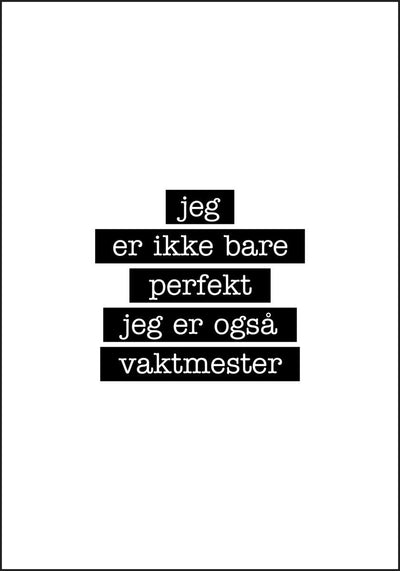 Vaktmester - Jeg er ikke bare perfekt Plakat - Plakatbar.no