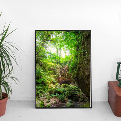 Vår i skogen 3 - Poster - Plakatbar.no