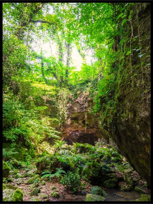 Vår i skogen 3 - Poster - Plakatbar.no