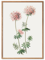 Vårblomst poster - Plakatbar.no