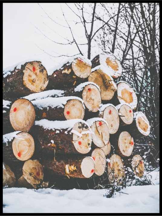 Timber Stack - Poster