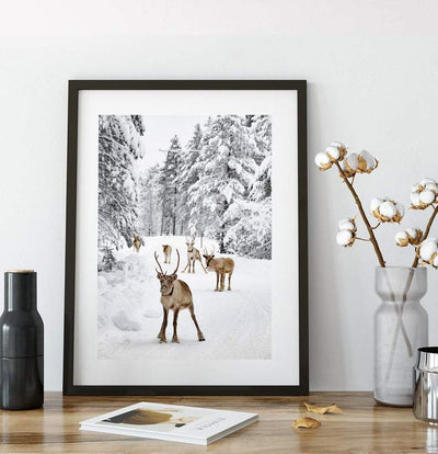 Vinter - Reinsdyrplakat - Plakatbar.no