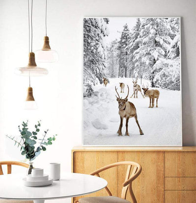 Vinter - Reinsdyrplakat - Plakatbar.no