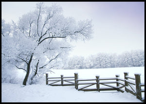 Vinterbilde 1 - Poster - Plakatbar.no