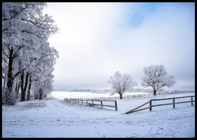 Vinterbilde 2 - Poster - Plakatbar.no