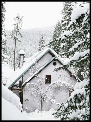 Vinterhus i skogen - plakat - Plakatbar.no