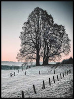 Vinterlandskap 05 - plakat - Plakatbar.no