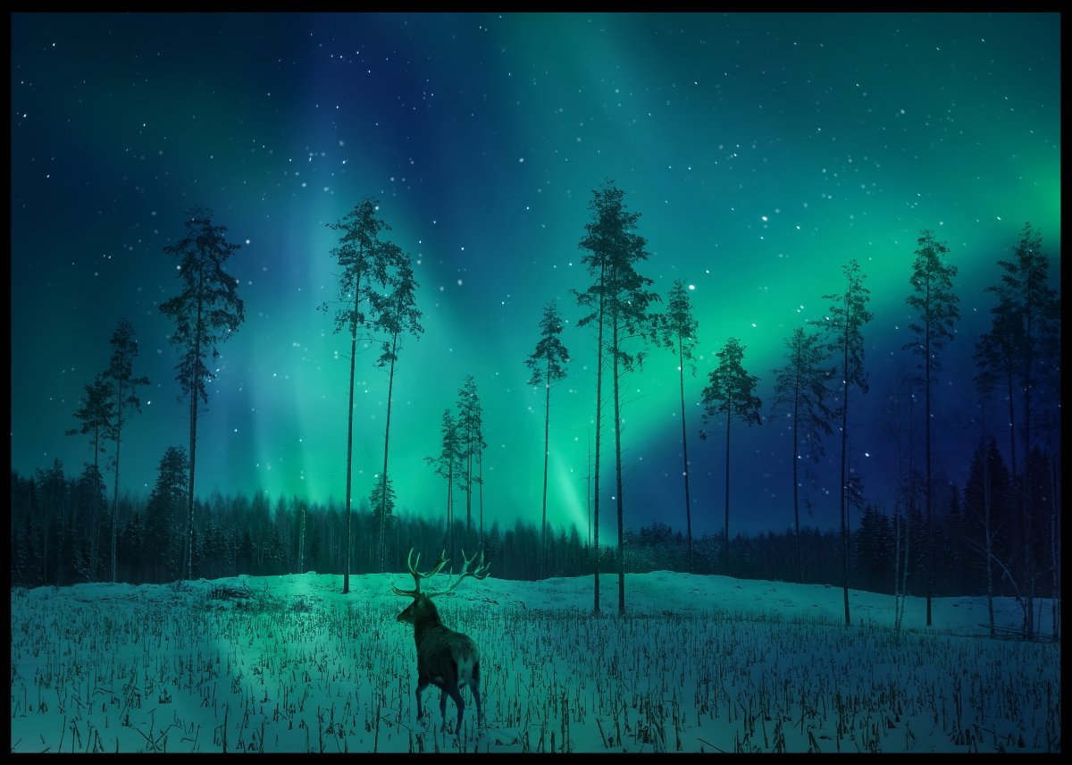 Vinterlandskap og nordlys poster - Plakatbar.no