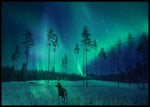 Vinterlandskap og nordlys poster - Plakatbar.no