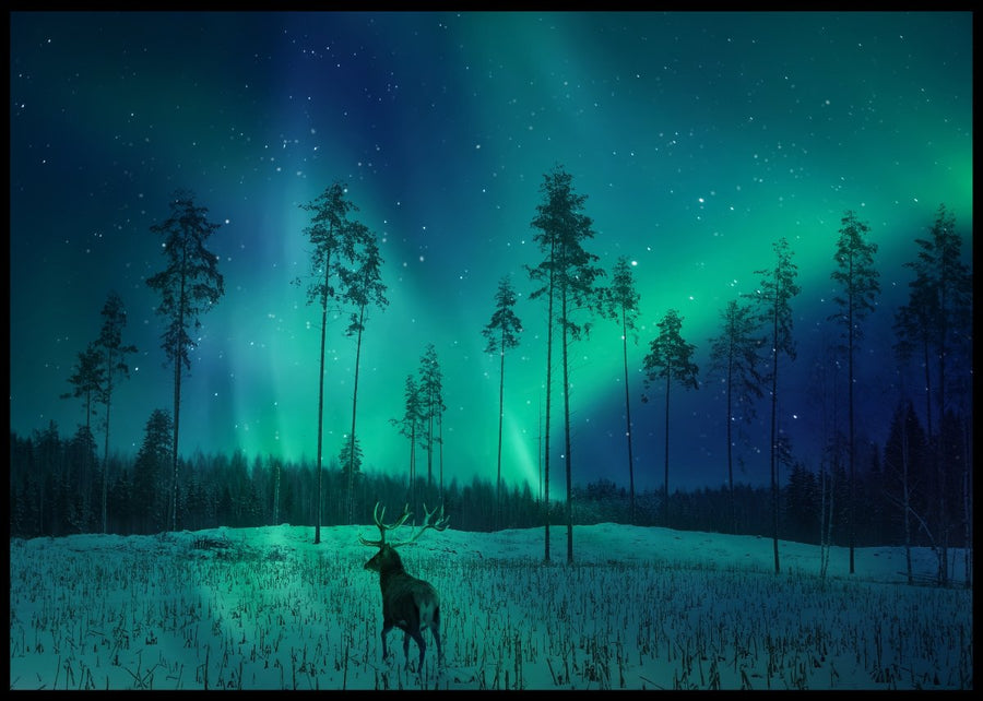 Winter landscape and northern lights posters