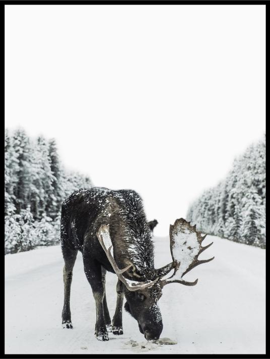Winter poster with moose