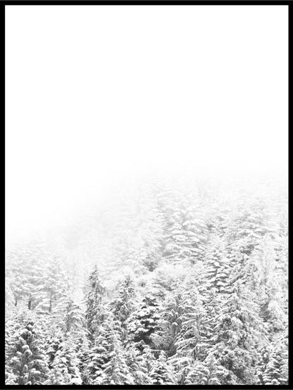 Vinterskog 02 - Plakat - Plakatbar.no