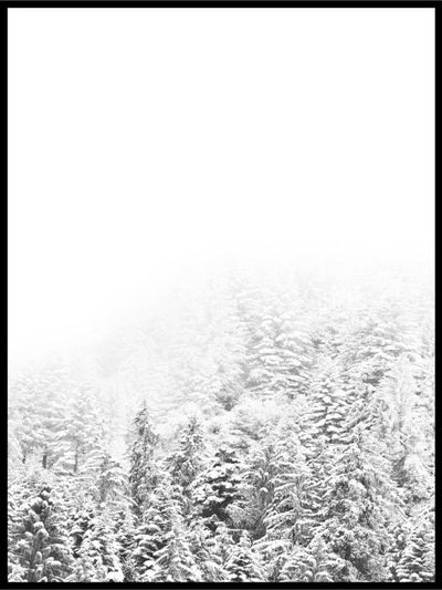 Vinterskog 02 - Plakat - Plakatbar.no