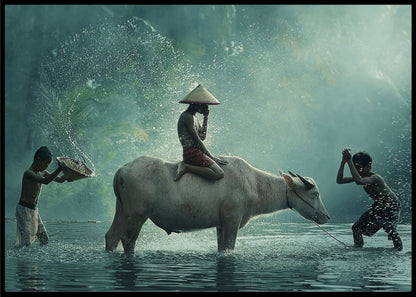 Water buffalo poster - Plakatbar.no