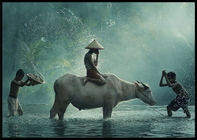 Water buffalo poster - Plakatbar.no